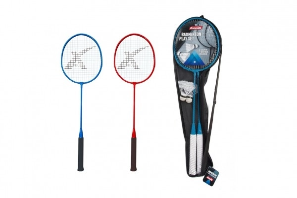 Ensemble de raquettes et volants de badminton en étui
