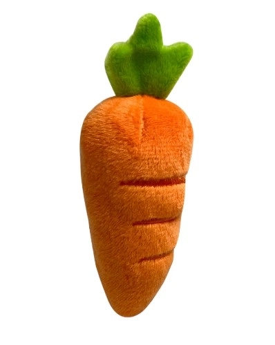 Ensemble varié de légumes