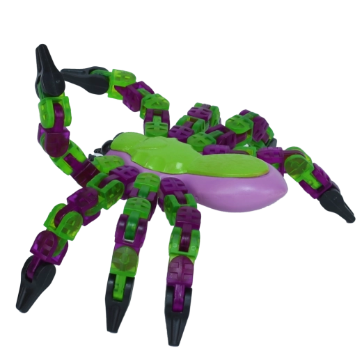 Création de photos et d’animations dans Zing Studio