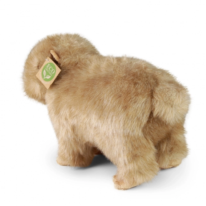 Capybara en peluche 30 cm ECO-RESPONSABLE