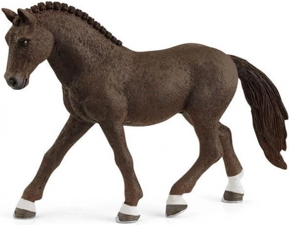 Poney de selle allemand