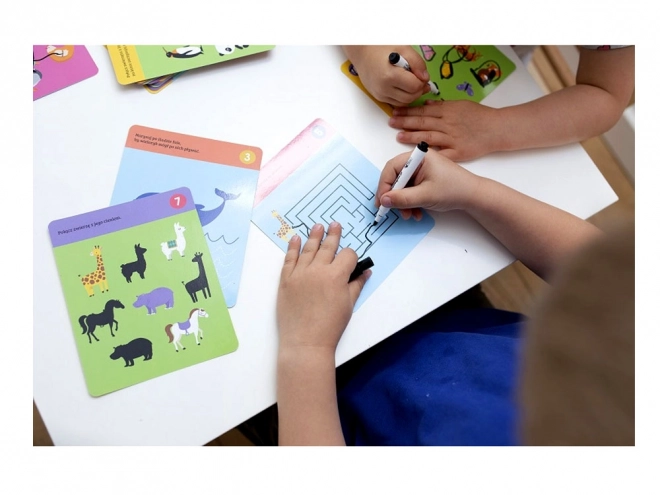 Cartes à dessiner les animaux 3-6 ans KS0686