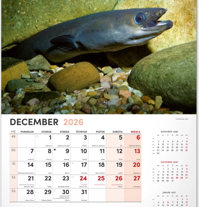 Calendrier mural Pêcheur 2026