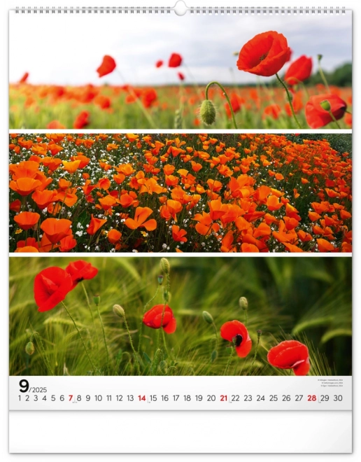 NOTIQUE Calendrier mural Palette 2025, 48 x 56 cm