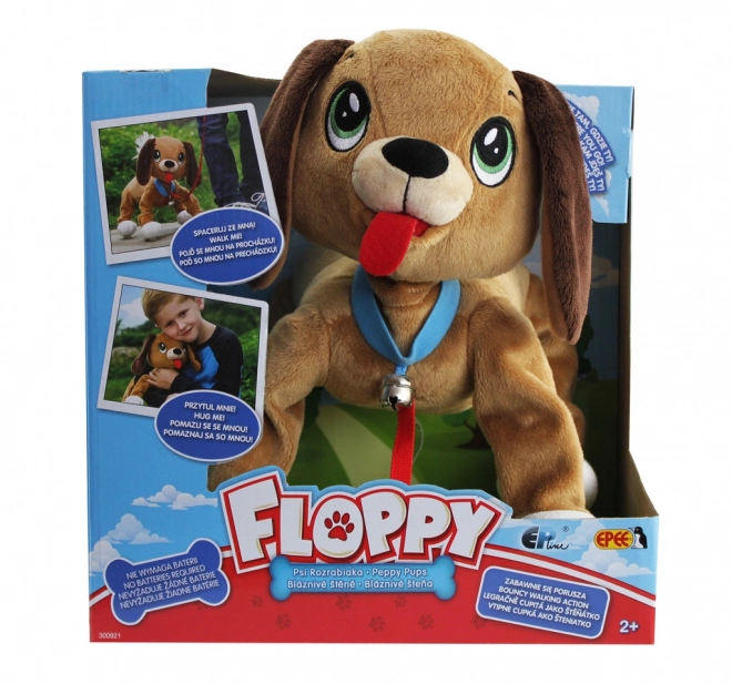 Chiot Floppy