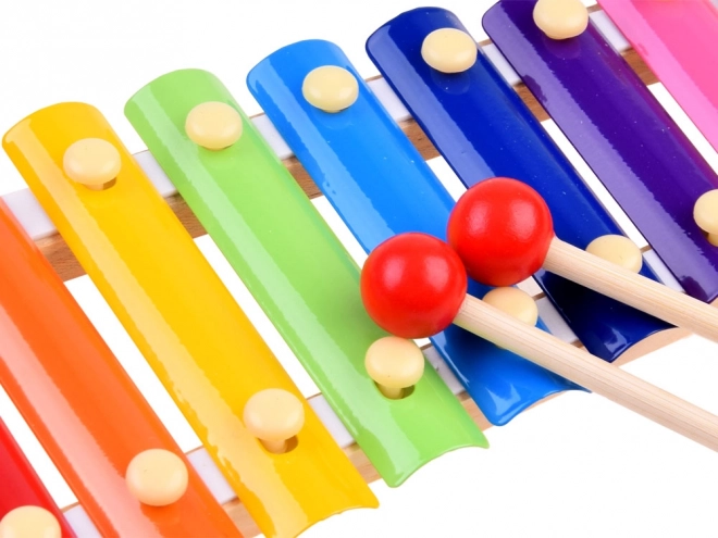Jouets musicaux colorés IN0152