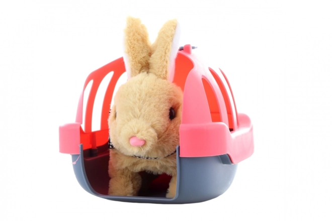 Lapin à piles avec caisse de transport