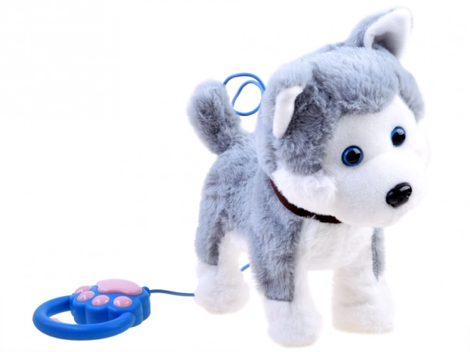 Chien Husky interactif en laisse