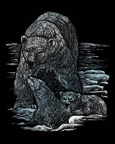 ROYAL & LANGNICKEL Illustrations à gratter en bloc Animaux sauvages