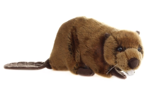 Castor en peluche 26 cm