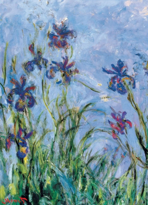 EUROGRAPHICS puzzle iris violets, 1000 pièces