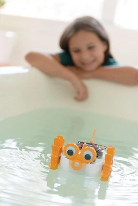 Amusement pour la baignoire et le jardin