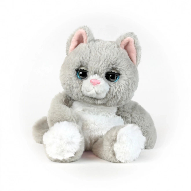 Mes Amis Pelucheux chaton endormi
