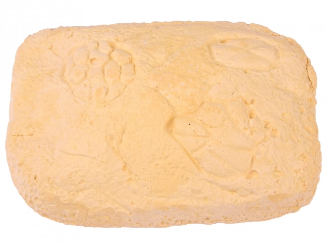 Pierres de fouilles pour petits archéologues