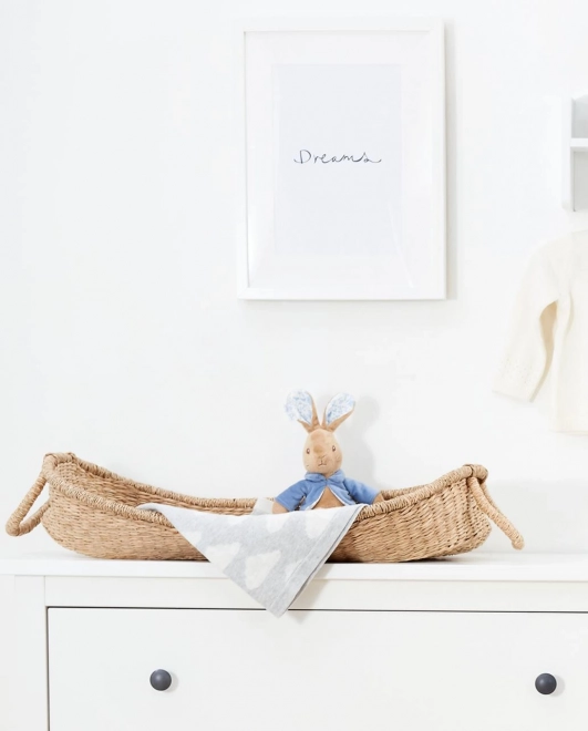 Aventures de Pierre le lapin en peluche