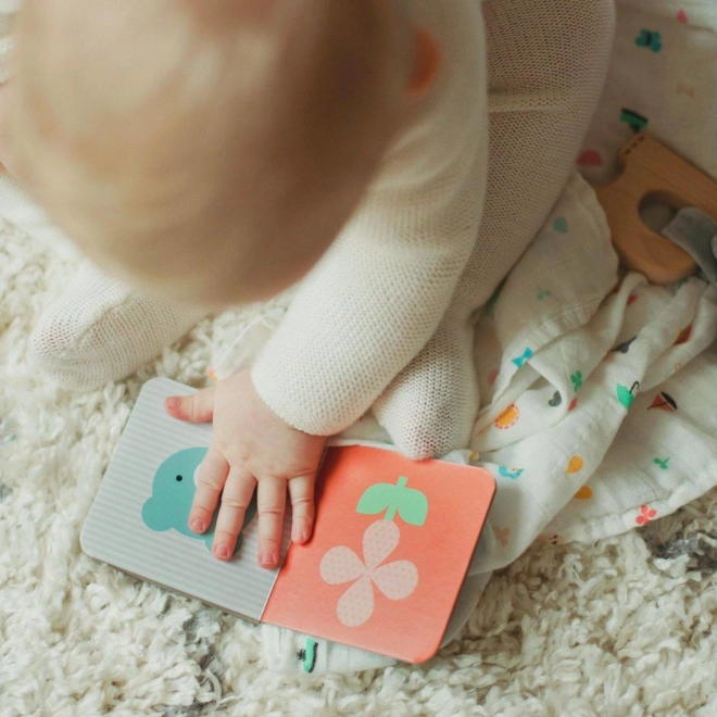 Petit Collage Coffret cadeau pour bébé éléphant