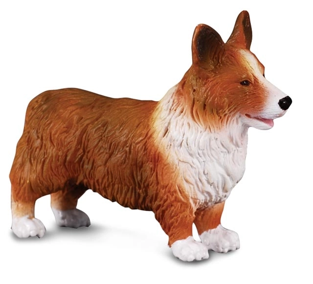 Figurine de chien Welsh Corgi CollectA