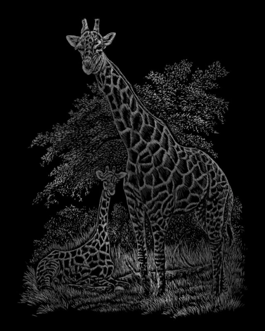 ROYAL & LANGNICKEL Illustrations à gratter en bloc Animaux sauvages