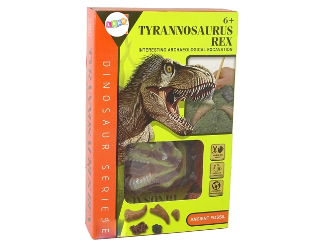Fossile réaliste de Tyrannosaure