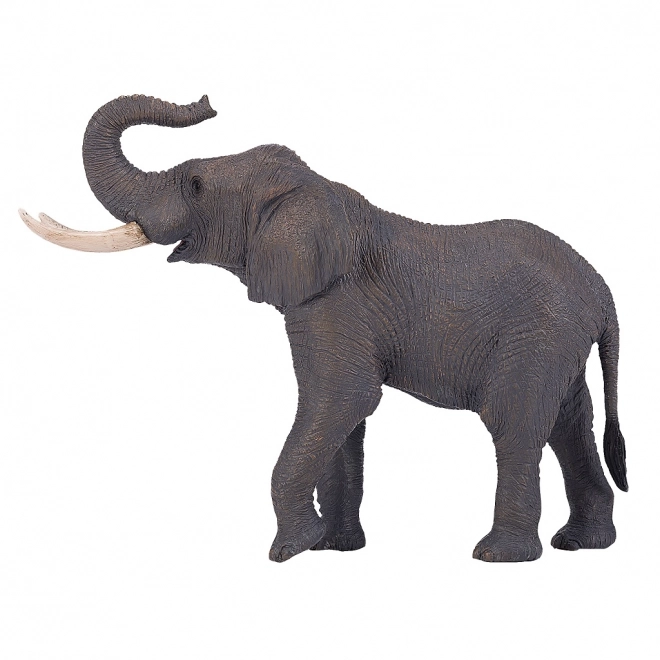 Mojo Él&eacute;phant d'Afrique
