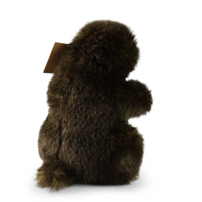 Taupe en peluche 15 cm avec approche écologique