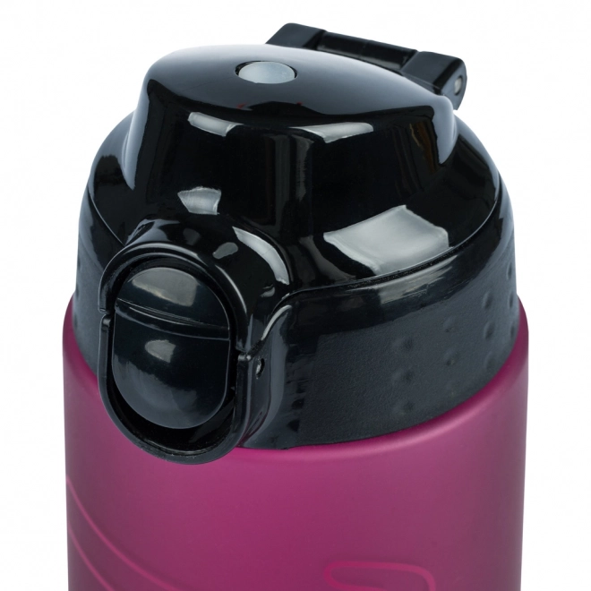 BAAGL Bouteille Tritan pour Boisson Ruby, 700 ml