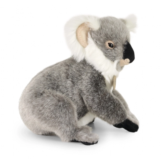 Koala en peluche debout 25 cm éco-responsable