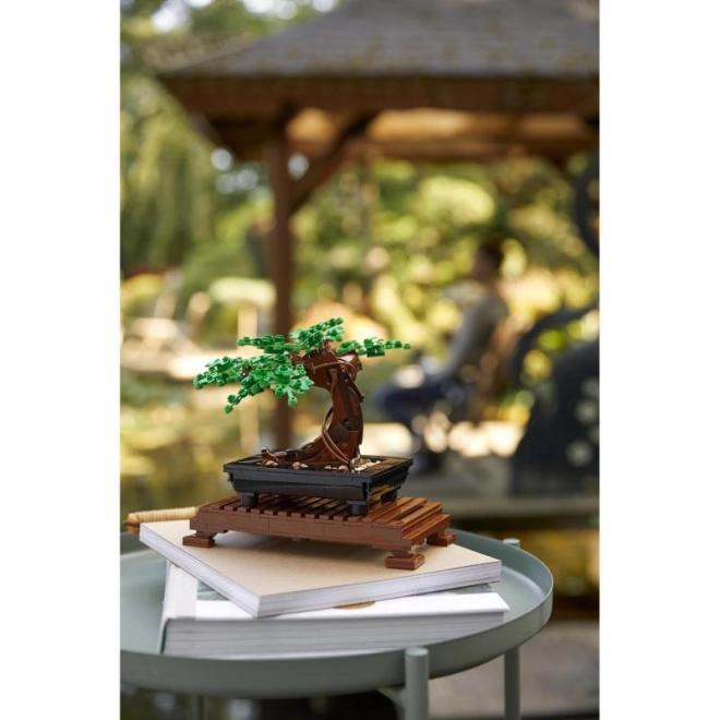 Décoratif et pratique