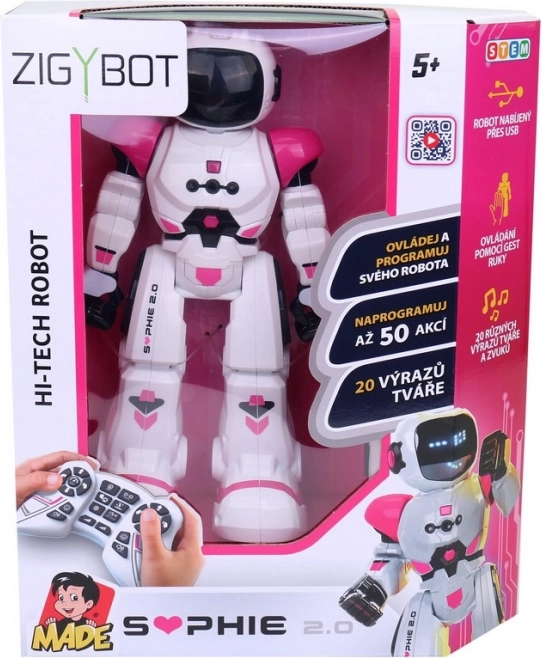 Compagnon robotique Sophie MaDe