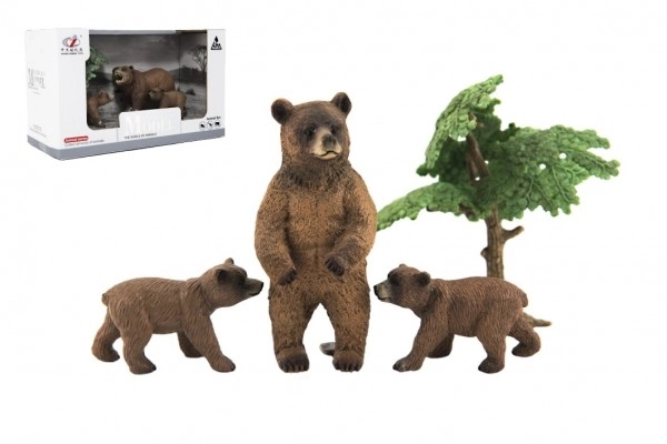 Zoo animaux - Ours