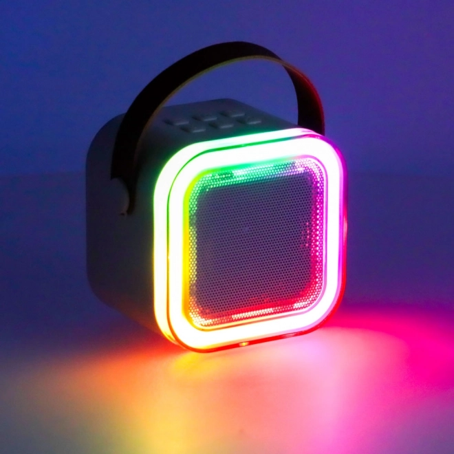 Set de karaoké microphone + haut-parleur portable BLUETOOTH USB LED rose