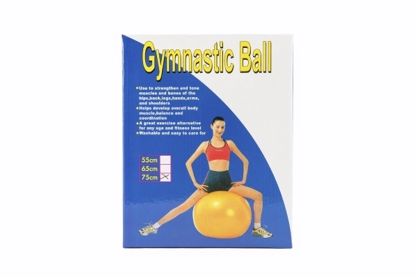 Balle de gymnastique 75cm réhabilitation relaxation dans une boîte 16x22cm