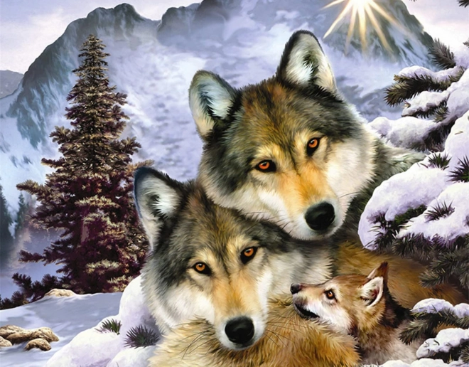 Kit de peinture diamant - famille de loups