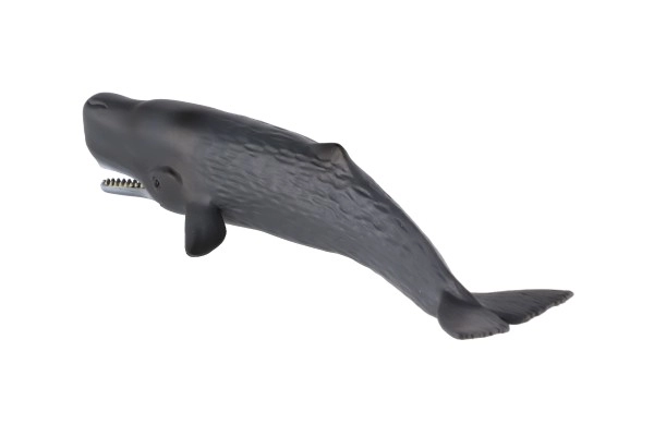 Modèle réaliste de cachalot géant 24 cm