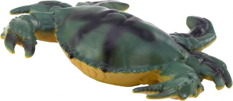 Couleurs réalistes et diversité d’animaux marins