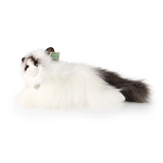 Chat Ragdoll en peluche 35 cm écologique