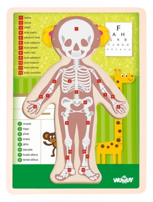 Puzzle en bois double face corps humain - fille