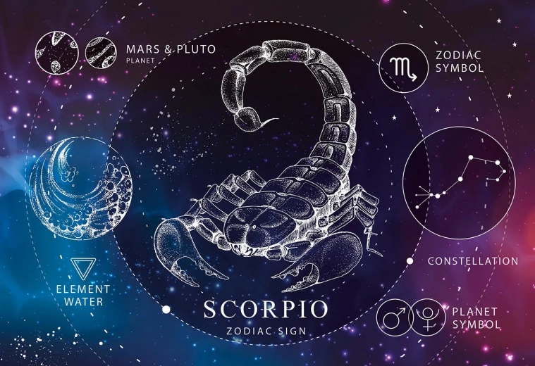 Puzzle Zodiaque Scorpion 250 pièces