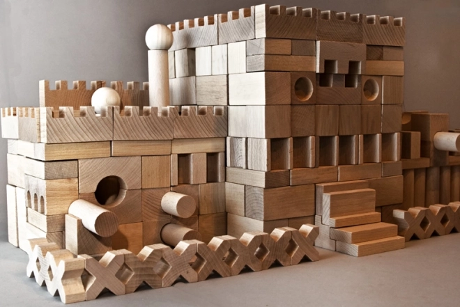 EkoToys Blocs de bois naturels 220 pcs XL