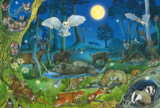 Puzzle Animaux de la forêt la nuit 100 pièces
