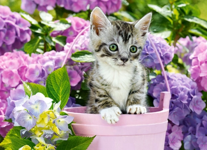 Puzzle 200 pièces – chaton dans un panier