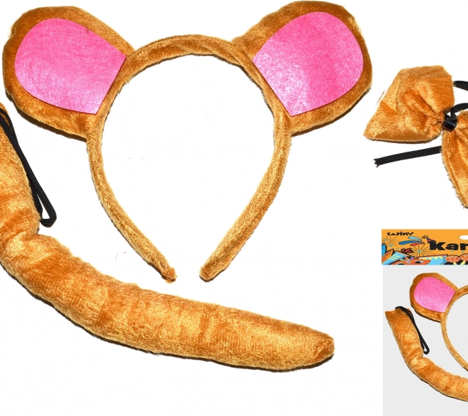 Ensemble de carnaval - singe