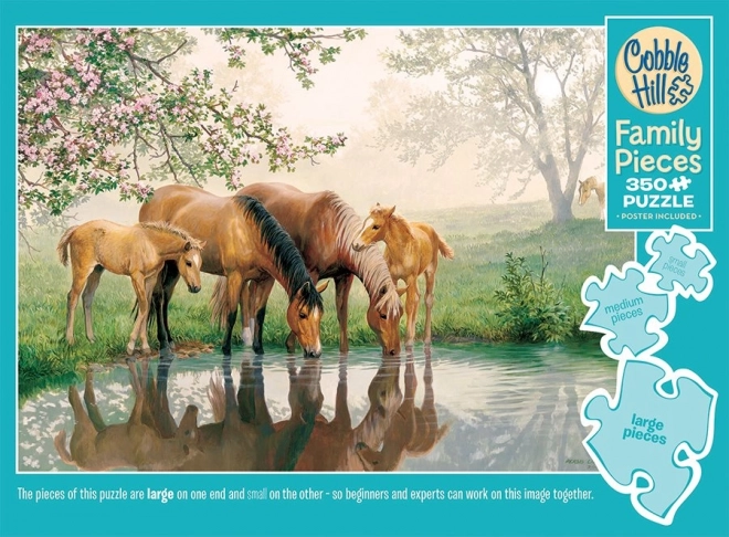 COBBLE HILL Puzzle familial Chevaux 350 pièces