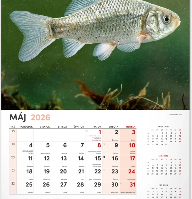Calendrier mural Pêcheur 2026