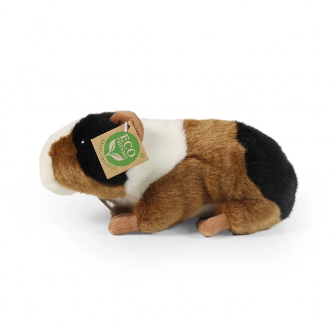 Cochon d'Inde en peluche de Rappa 22 cm écologique