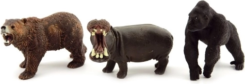 Assortiment varié d’espèces dans une boîte pratique