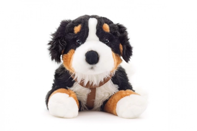 Chien de Montagne des Bernois en peluche 65 cm