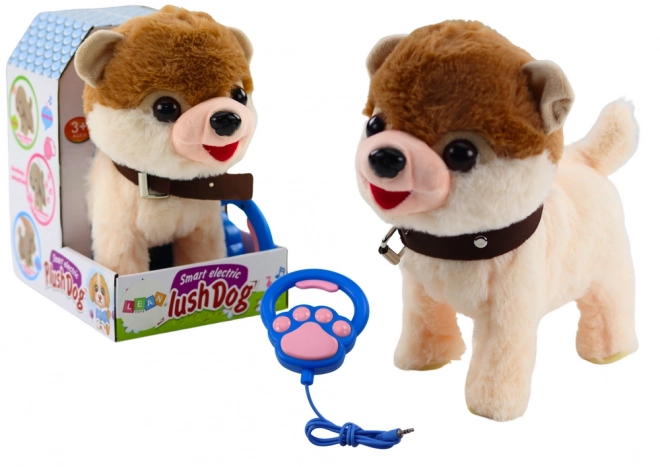 Chien interactif en laisse