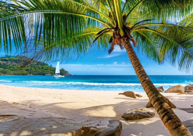 Puzzle 500 pièces Vacances aux Seychelles