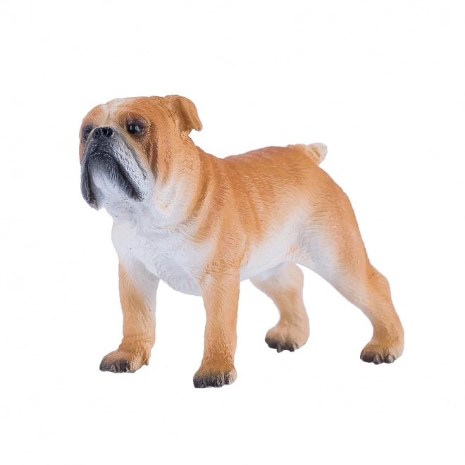 Mojo Bulldog Anglais